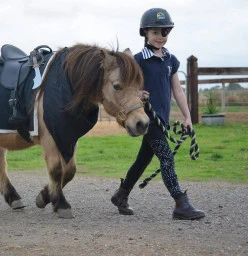 Party Ponies Old Reynella 1