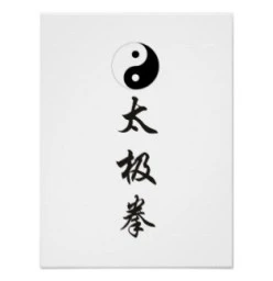 Taiji Boxer Club Bowral 1