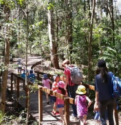 Bushwalking excursions