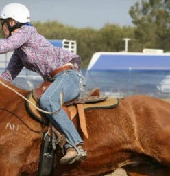 Camden Bicentennial Equestrial Park Camden 1