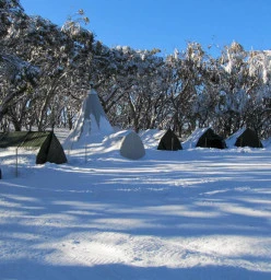 Alpine Camp Mt.Stirling