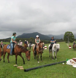 Centennial Glen Stables Blackheath 1
