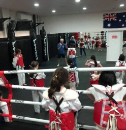Wyllie Martial Arts Willoughby 1