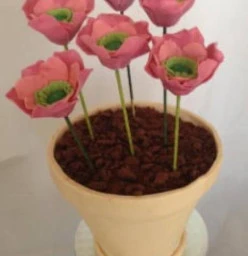 A birthday flower pot cake
