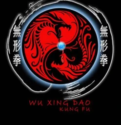 Wu Xing Dao Kung Fu