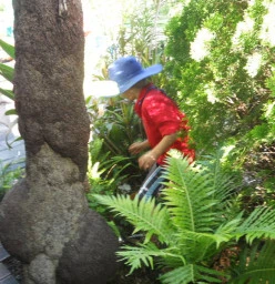 Our inviting exploration garden