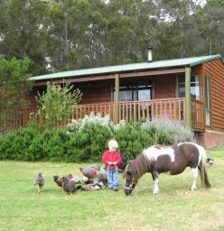 Diamond Forest Farm Stay Manjimup 1