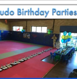 Judo birthday parties