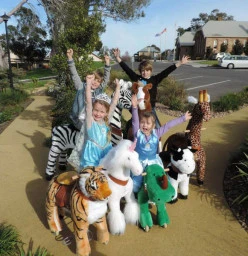 Zoofit Pony Cycle hire