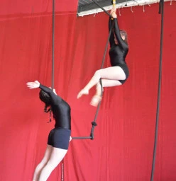 Cajam Circus Idalia 1