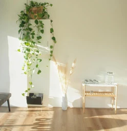 Massage Northcote