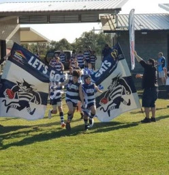 Ipswich Cats AFC Ipswich 1