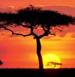 Wild Africa Travel Company Cardigan Village 1