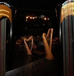 Harp Classes & Lessons