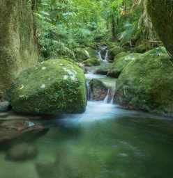 Mossman Gorge