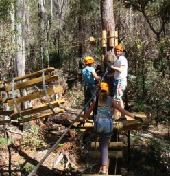 Trees Adventure - Lane Poole Park Dwellingup 1