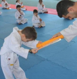 Thrive Taekwondo Belfield 1