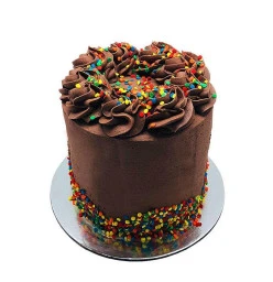 Chocolate on chocolate cake