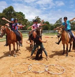 International Boutique Riding School Arcadia 1