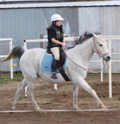 Giddy Up GGs Horse Riding School Diggers Rest 1