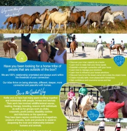 What we do at Holistic Equitation
