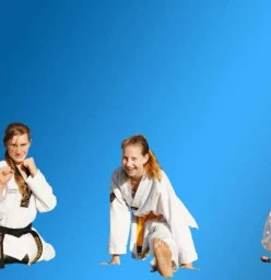 Pinnacle Taekwondo Martial Arts in Chester Hill Chester Hill 1