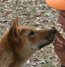 Reece and Shiloh