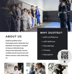 Why jiujitsu?