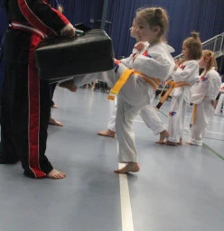 Matt Fiddes Martial Arts Brisbane Brisbane 1