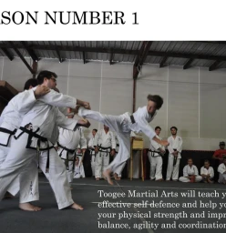 Toogee Martial Arts Raymond Terrace 1