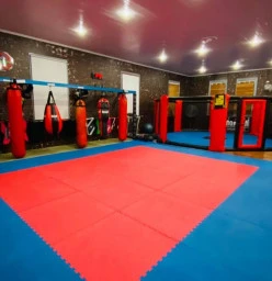 cage and training area