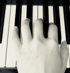 The Piano Place Point Cook 1