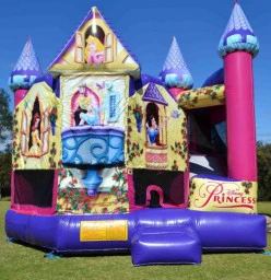 Disney Princess Backyard Combo with basketball hoop, stairs and slide