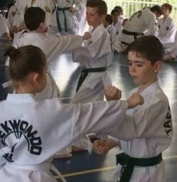 bai rui albany creek kids self defence