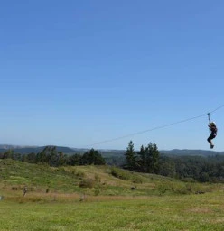 Flying Fox