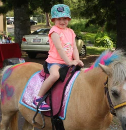 Ponies and Animals 2u Glamorgan Vale 1