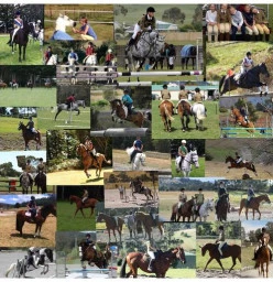 Birralee and Districts Pony Club Glengarry 1