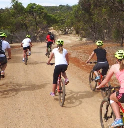 Leisurely Bunch Ride