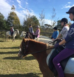 Riders learning some horse riding basics