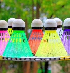 Rainbow Shuttles
