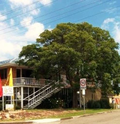 Nelson Bay Pre School Nelson Bay 1