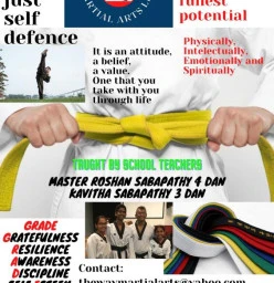 The Way Martial Arts Ormeau 1