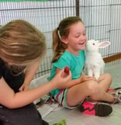We love our new pet rabbit called Penny!