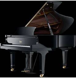 Amadeus Piano Lesson Mortdale 1