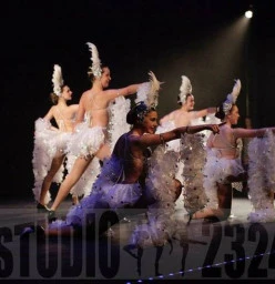 Studio 2324 Raymond Terrace 1