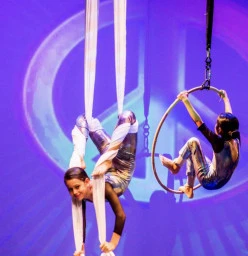 Aerial Circus performance