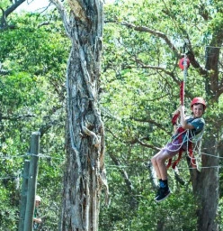 Flying fox fun