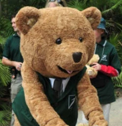 Teddy Bears' Picnic