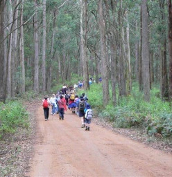 Rosanna Cubs - Scouts Australia Rosanna 1