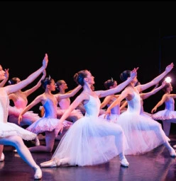 The Dance Co. Sydney (Woollahra Campus) Woollahra 1